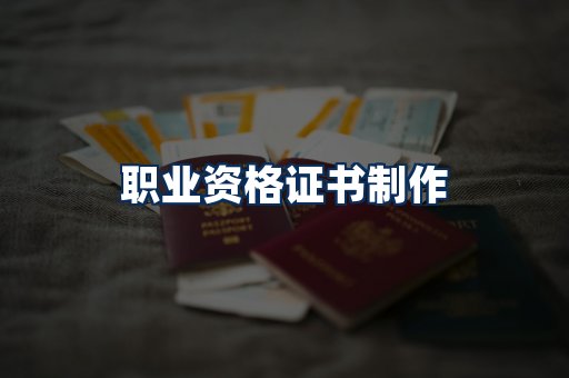 职业资格展示