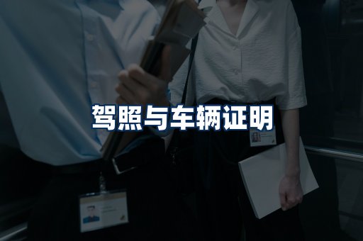 车辆证明展示