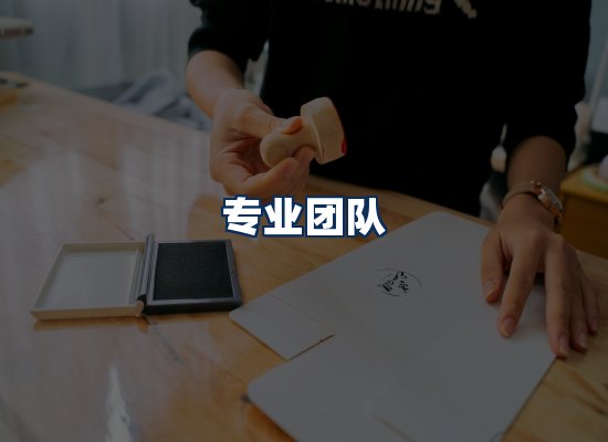 专业团队